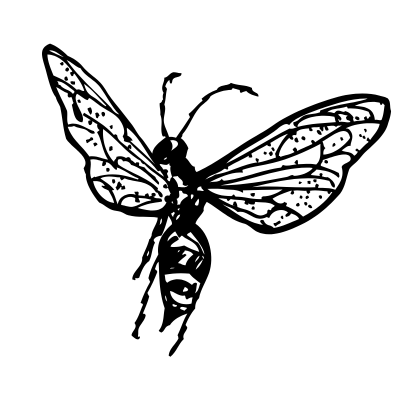 Qey Kennedy on "Flight of the Fig Wasp"
